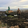 Русалка Севера Шотландии неподалеку от наиболее знаменитых пиктских камней... 