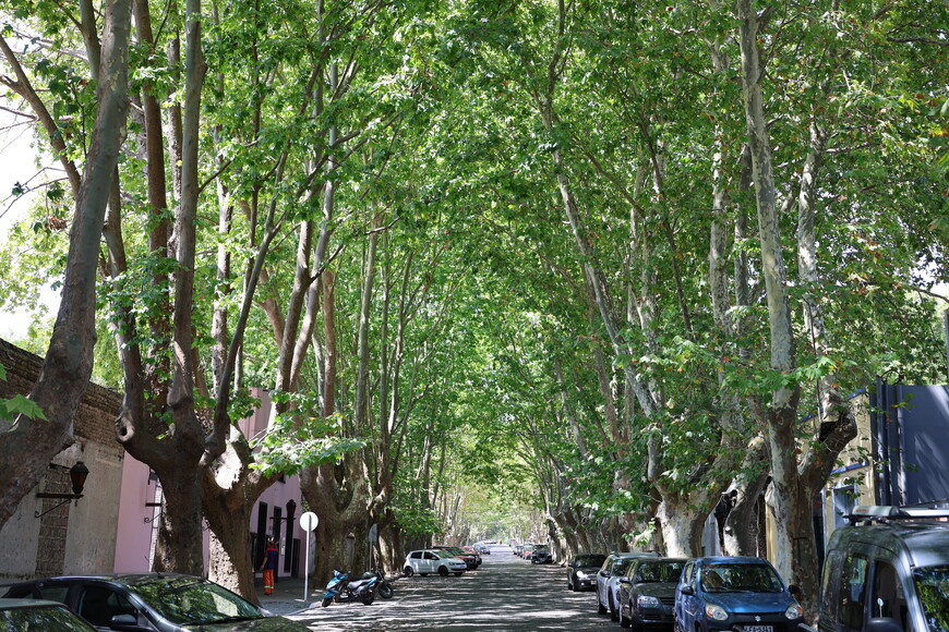 На улицах Колонии-де-Сакраменто в Уругвае.