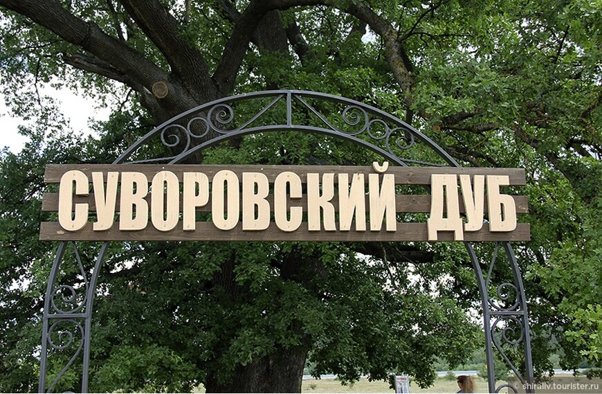 «Суворовский дуб» — достопримечательность Крыма в районе Белогорска