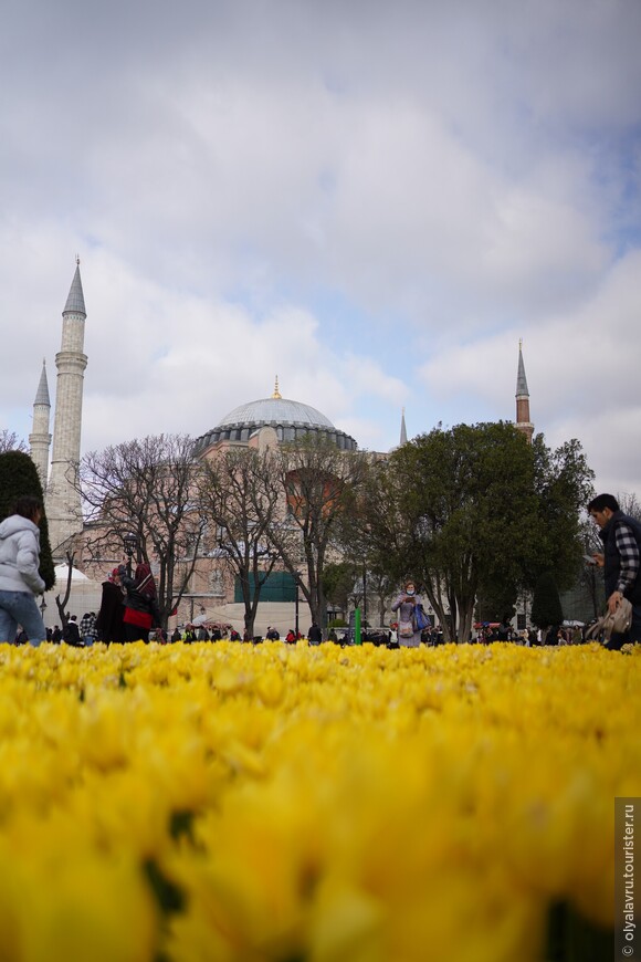 Фестиваль тюльпанов в Стамбуле 2023! İstanbul Lale Festivali