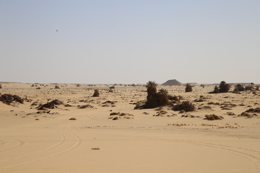 Западная пустыня Египта 2.