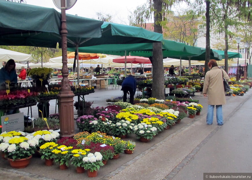 Любляна. Город, в котором я могла бы жить.