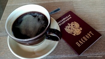 Уехавшим из России гражданам могут разрешить получать паспорта в консульствах 