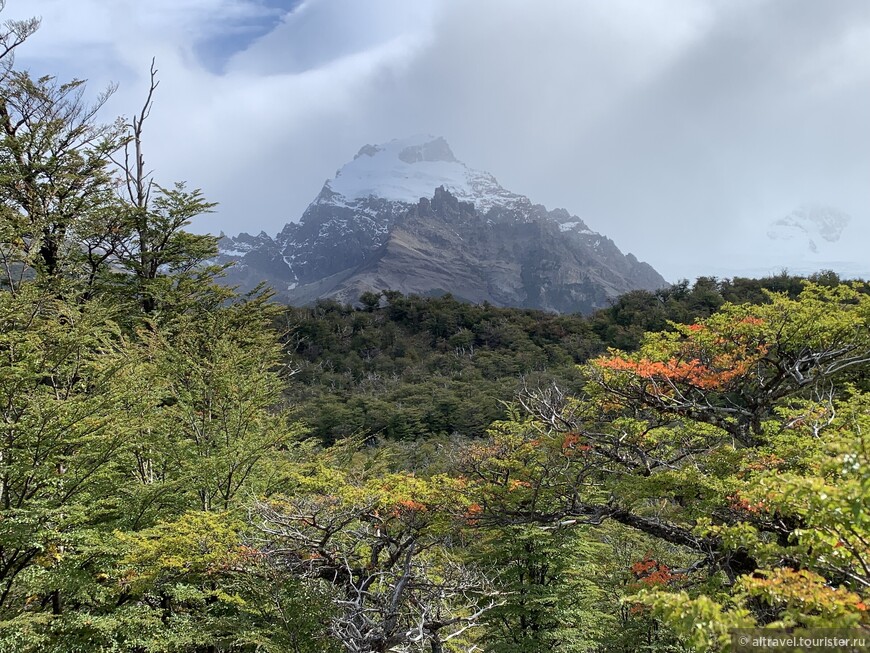 Гора Серро-Соло - вид с тропы к Лагуне Торре.