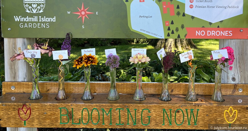 Живое информационное табло о том, какие растения цветут в момент вашего визита