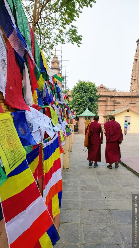Паломничество по местам Будды в Индию и Непал зима 2023 год