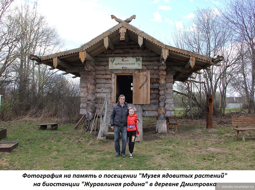 О поездке в природный заказник «Журавлиная родина» в Талдомском районе Московской области