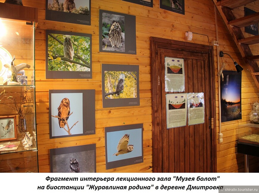 О поездке в природный заказник «Журавлиная родина» в Талдомском районе Московской области