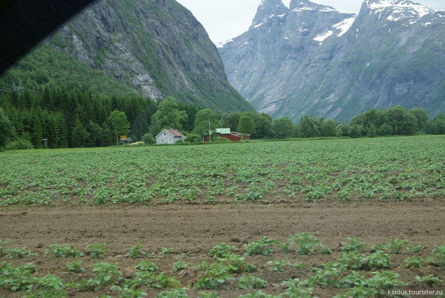 Как бульбаши в Норвегии картошку покупали. Часть 3. Дорога Троллей, Гейрангер, ледник Бриксдал.
