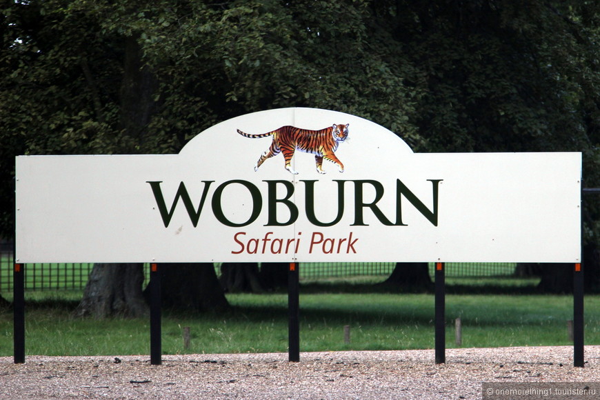 Woburn Safari Park, Англия