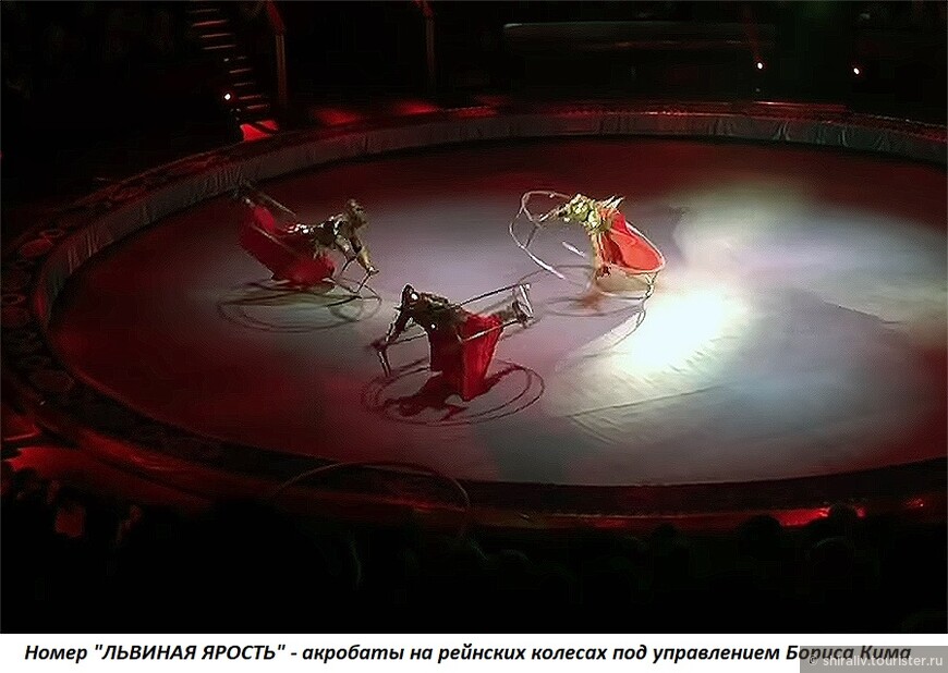 Отзыв о посещении Большого московского цирка на проспекте Вернадского в Москве