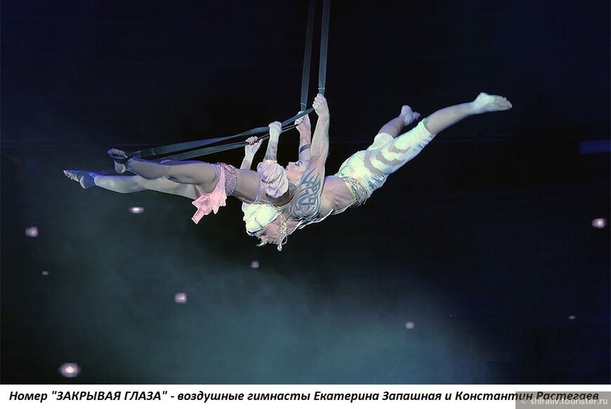 Отзыв о посещении Большого московского цирка на проспекте Вернадского в Москве