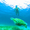 Плавание с морскими черепахами - Акумаль