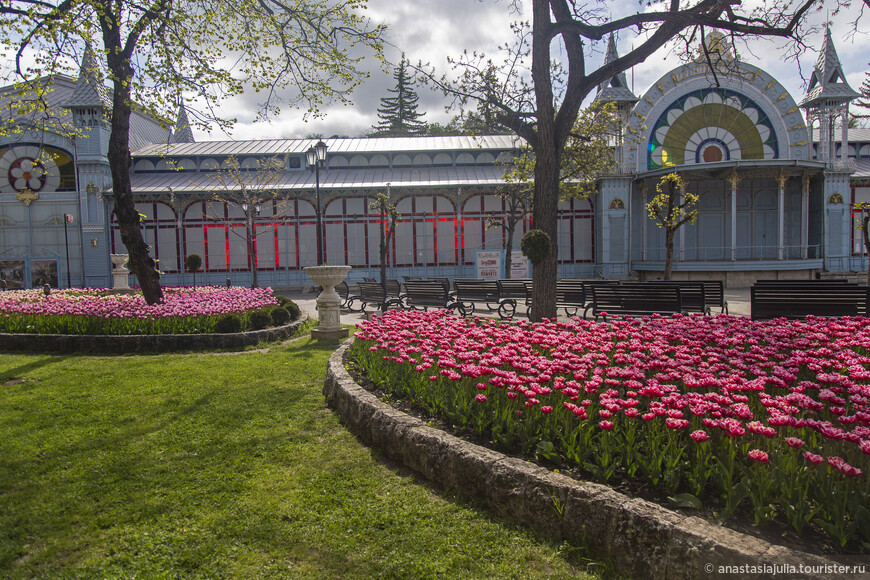 В самом расцвете сил: весенний Пятигорск, парки и разумеется тюльпаны