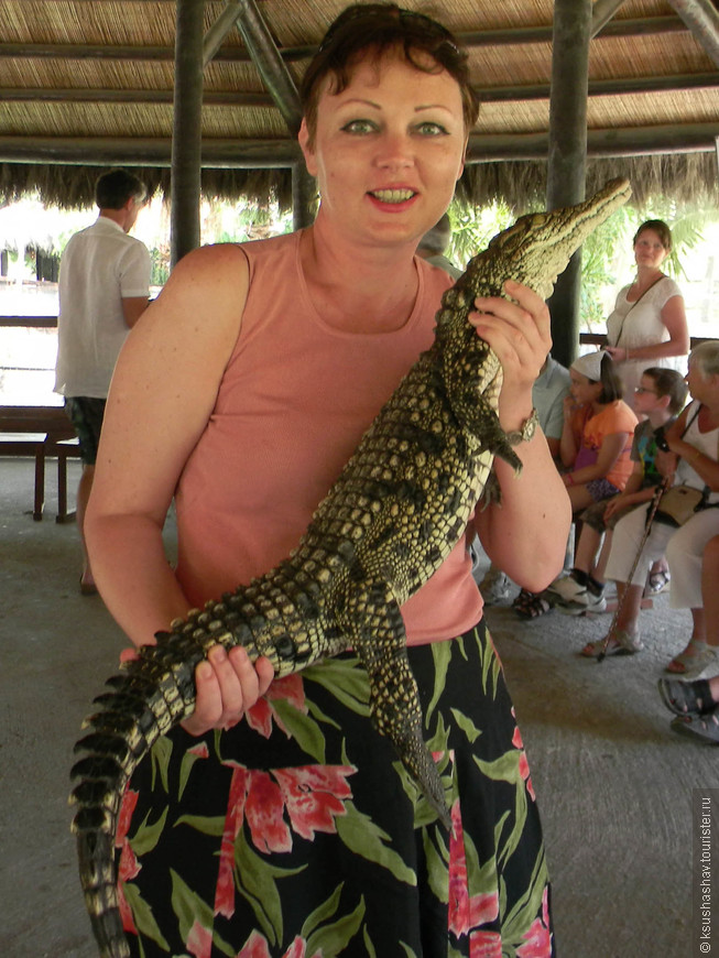 Крокодилы и ботанический сад в Торремолиносе