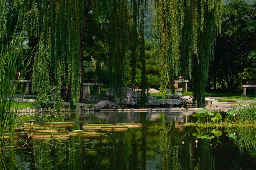Пекинский ботанический сад (Beijing Botanical Garden)