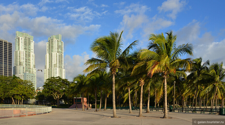 Майами перед круизом, часть 1: Даунтаун