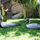 Зоопарк Фуэнхиролы