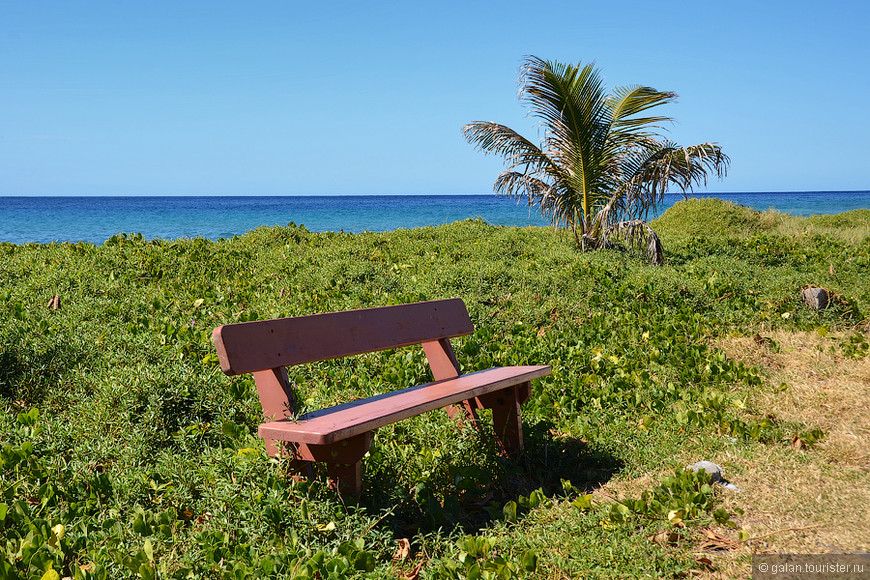 Карибские острова: Доминика - один круизный день