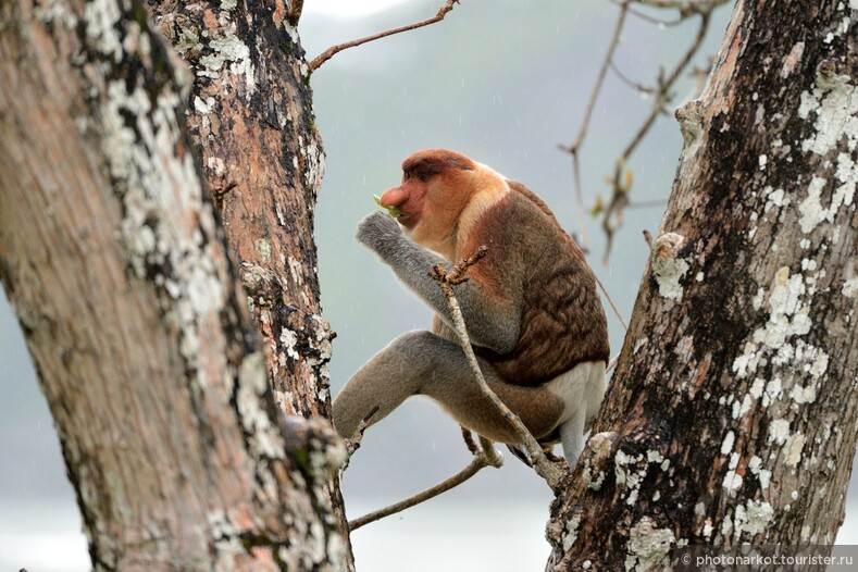 ЮВА 2013 - Национальный парк Бако
