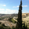 Вид на Кедрон и Еврейское кладбище