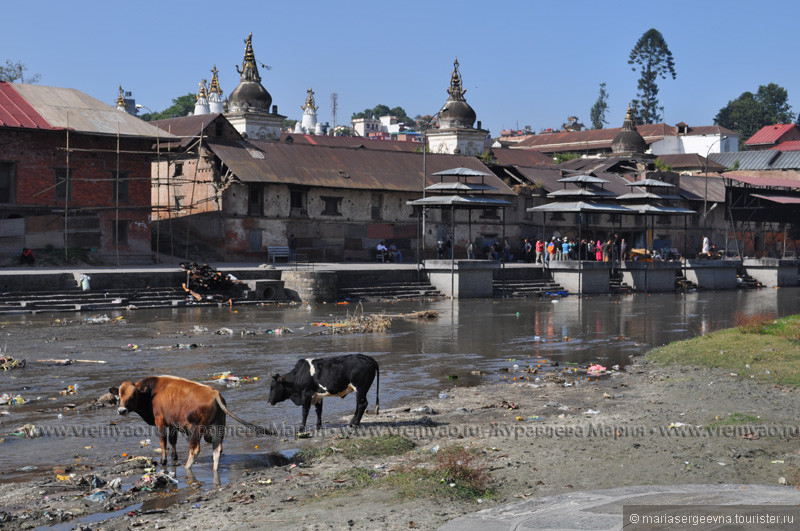 У погребального костра. Жизнь и смерть долины Катманду