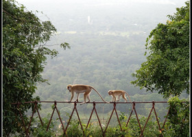 Фотозарисовки с Цейлона