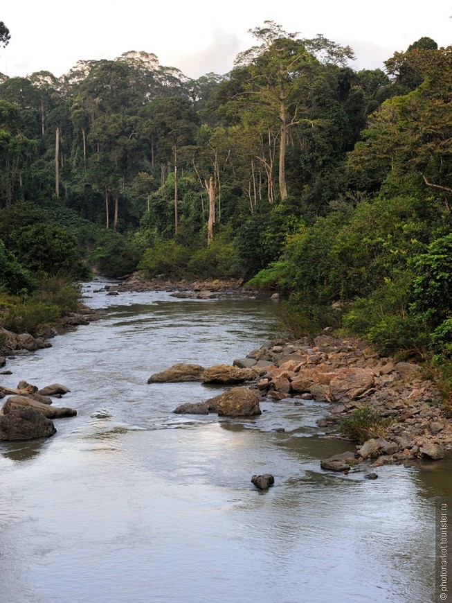 Данум Валей  -  Danum Valley Feld Center