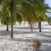 Природа райского пляжа Playa Sirena.