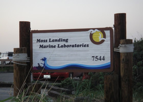 Moss Landing  расположен на берегу залива Монтерей, в устье Elkhorn Slough, и в начале  Monterey Каньон. Там находится  Морская лаборатория, кампус научно-исследовательского центра Калифорнийского Университета,  и  научно-исследовательский институт  Monterey Bay Aquarium.