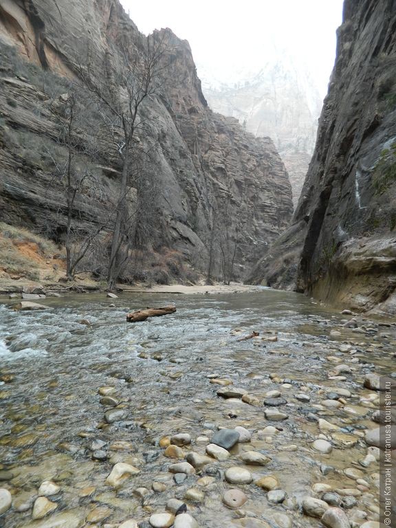 Экскурсия в Каньон Зайон.