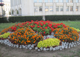 Ярославль в цвету-2011