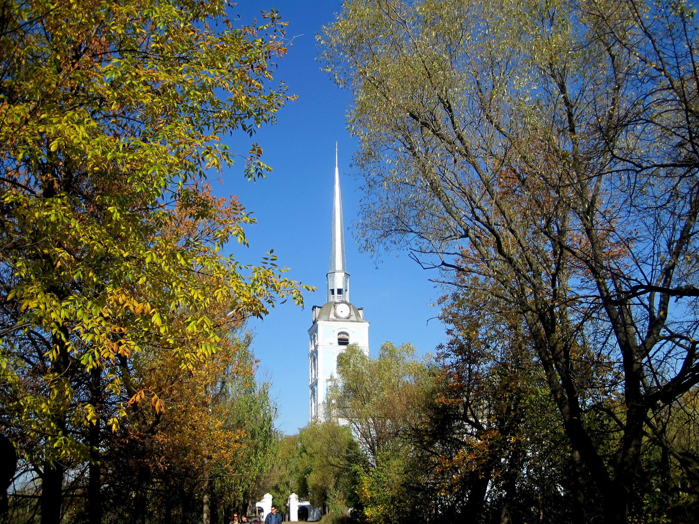 Петропавловский парк ярославль