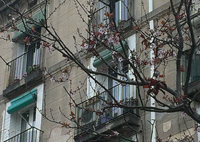 Весна в Барселоне