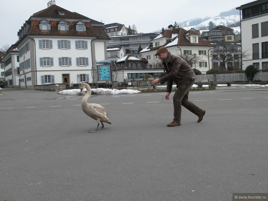 Охота на гусей или Швейцария за 52 часа