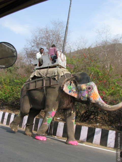 Индийские каникулы. Джайпур