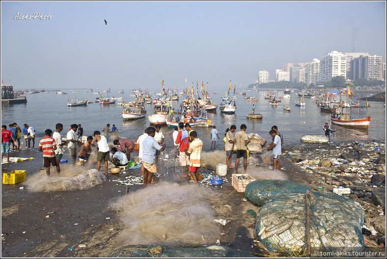 Жизнь рыбаков Бомбея (Мумбаи, Индия)