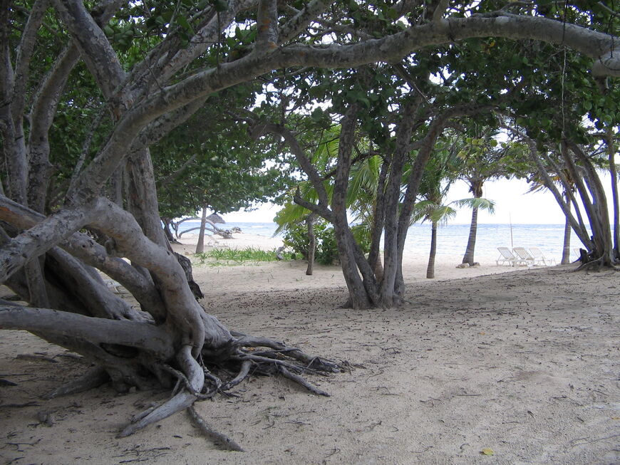 Пляж Хибакоа (Playa Jibacoa)