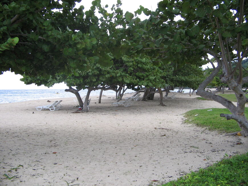 Пляж Хибакоа (Playa Jibacoa)