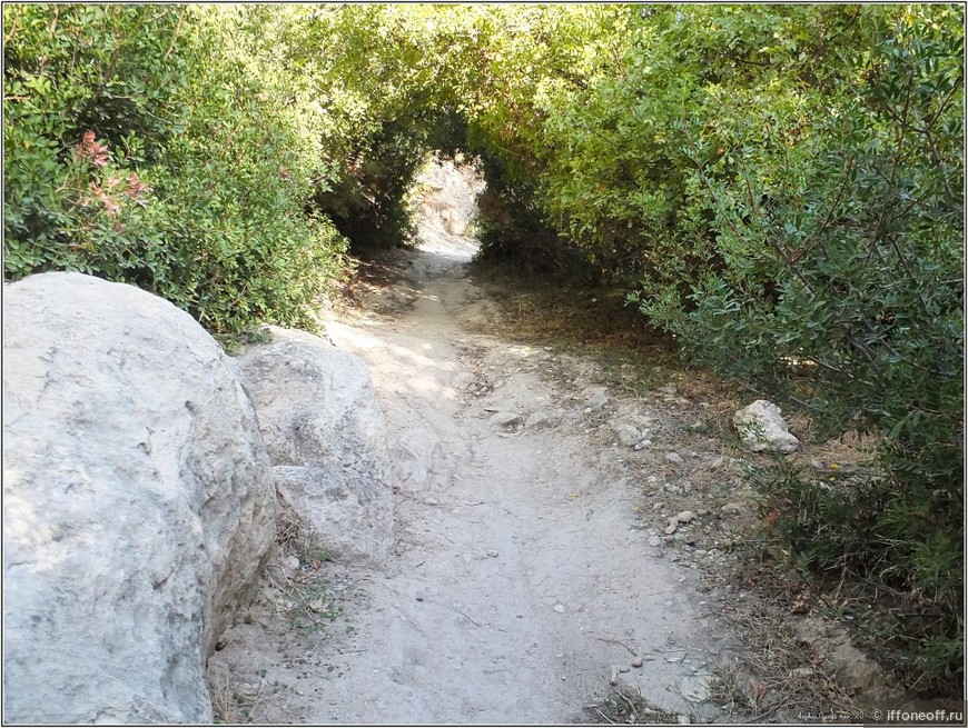 Ущелье Авакас (Avakas Gorge)