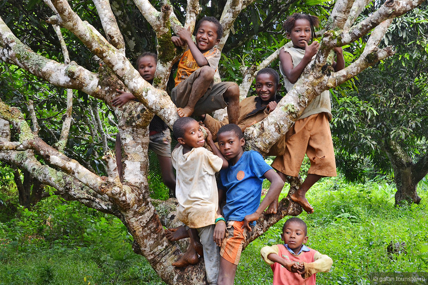 Мадагаскар — один круизный день
