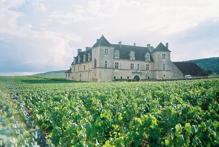 Le massif des Vosges Бургундия