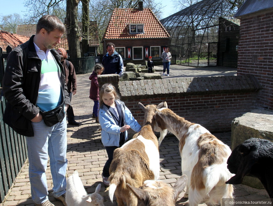 Праздник каждый день! Солнечные каникулы в Нидерландах всей семьей.