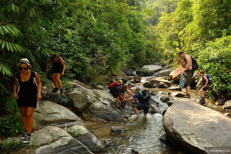 Трёхдневный трекинг по горам северного Таиланда