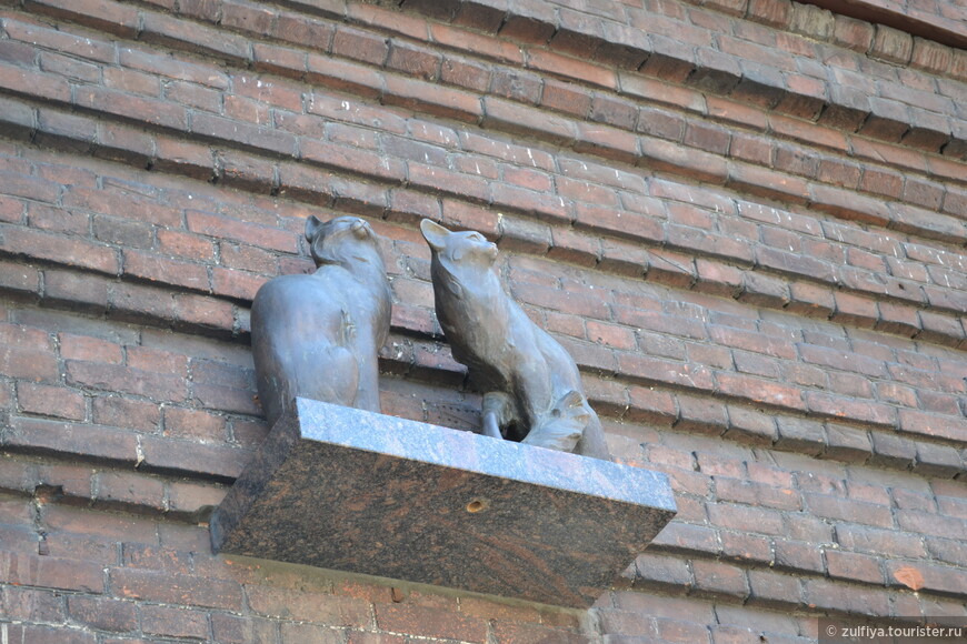 В других города монетки бросают в воду, а у нас принято бросать двум кошкам, сидящим на фасаде здания Педагогического университета. Непростая задача, учитывая высоту карниза.