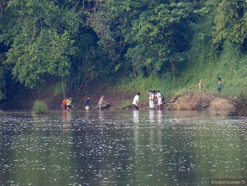 Путешествие по реке, где купаются слоны