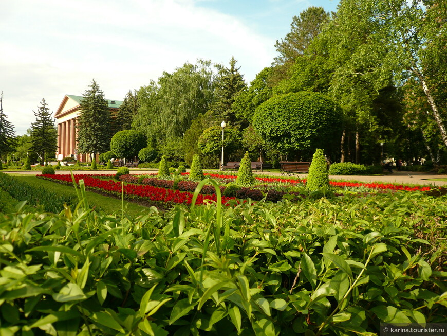 Сквер-дендрарий называют «малым ботаническим садом» за разнообразие насаждений.