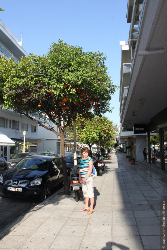 Улица с апельсиновыми деревьями