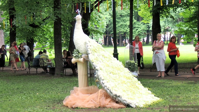 Фестиваль цветов в Михайловском саду 2013