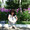 lady_travel lady_travel